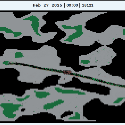 Ant Game IO